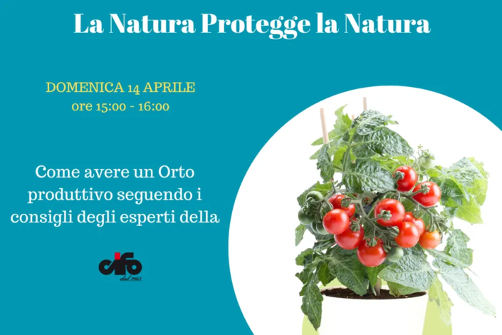 come avere un orto produttivo