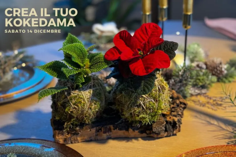 Crea il tuo kokedama